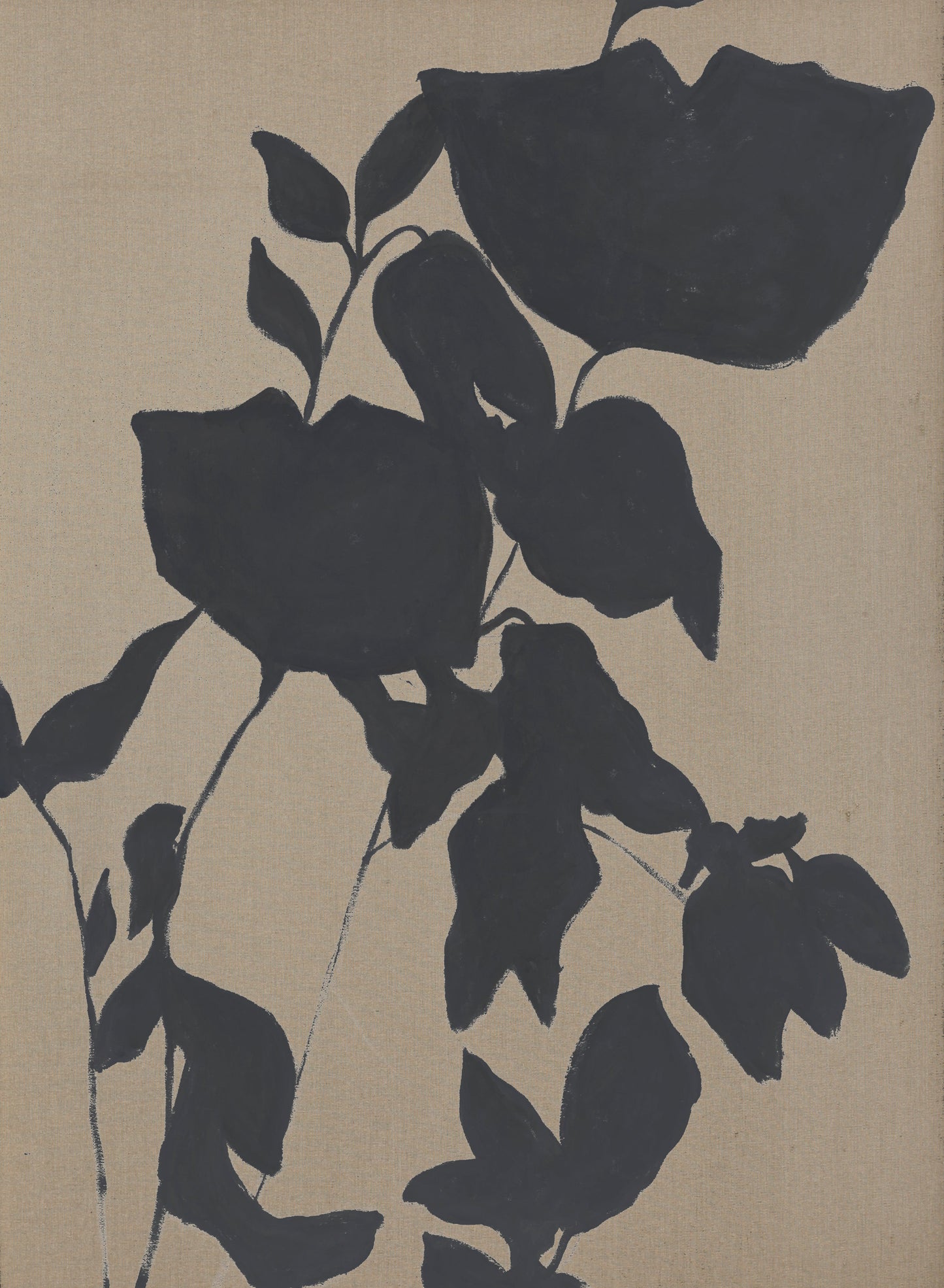 Fortuna Black | DESIGN TAULU